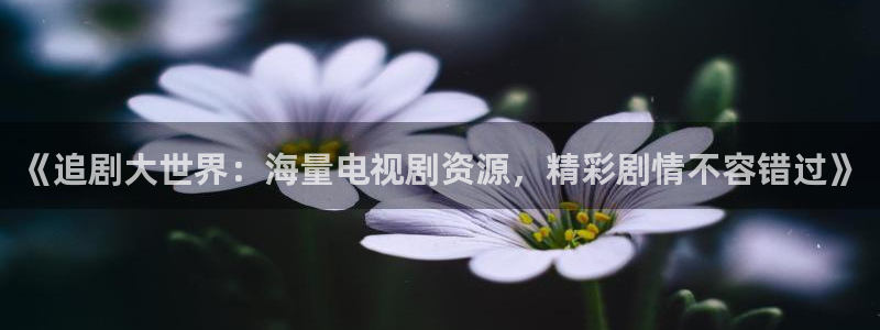 草草影院第四页