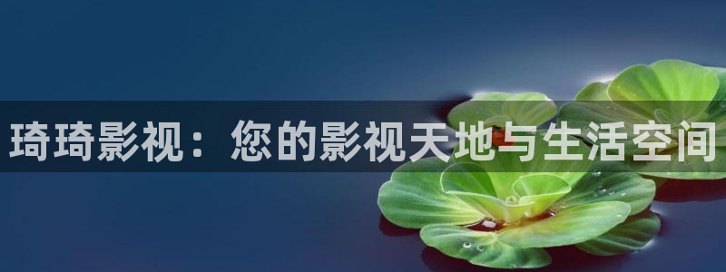 草草影院最新网址入口