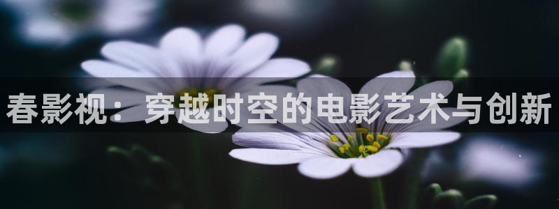草草影院永久入口