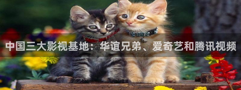 国产草草影院第一页